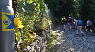 The "Alta Via delle Grazie" Walk