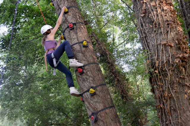 Tree Begrao Tree climbing: arrampicarsi sugli alberi per prendersene cura | Visit ...
